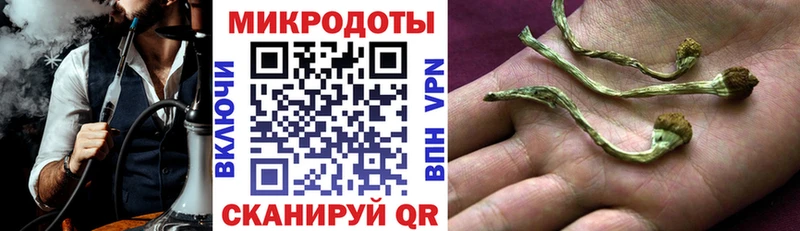 ОМГ ОМГ ссылки Юрьевец Галлюциногенные грибы Cubensis закладки